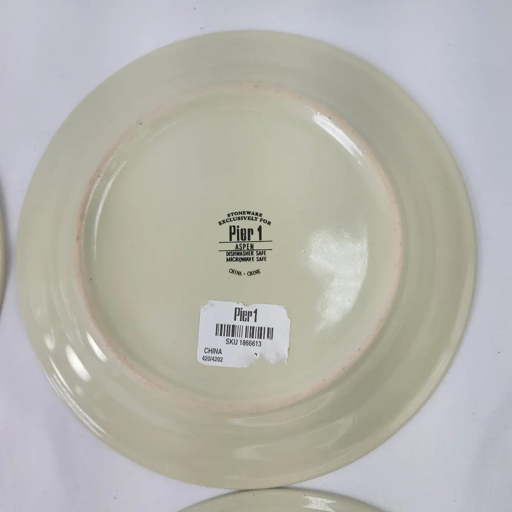 Pier 1 Aspen Stoneware Salad Dessert Plates Set of 4